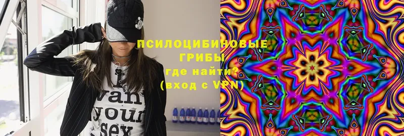 магазин продажи наркотиков  omg сайт  Псилоцибиновые грибы MAGIC MUSHROOMS  Кораблино 